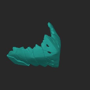 extracted_plate_4.png