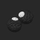 extracted_plate_10_small.png
