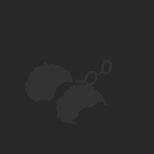 extracted_plate_no_light_1.png