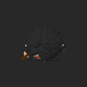extracted_top_12.png
