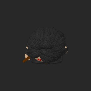 extracted_top_13.png
