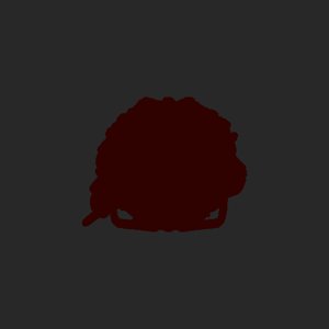 extracted_pick_13.png
