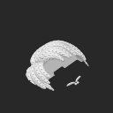 extracted_plate_2_small.png