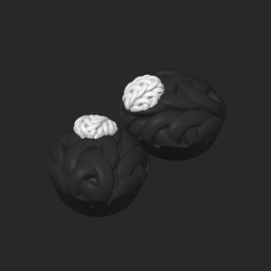extracted_plate_10.png