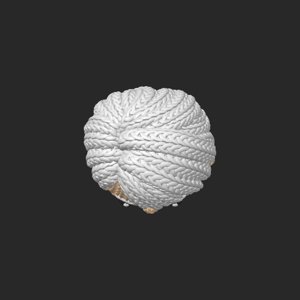 extracted_top_11.png