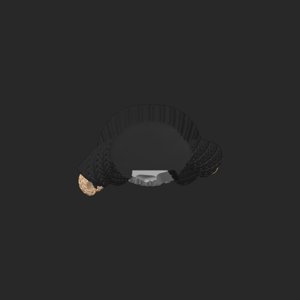 extracted_top_13.png