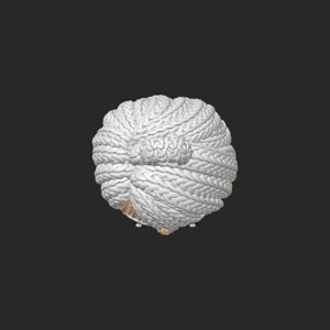 extracted_top_14.png