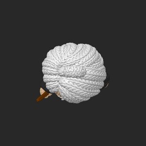 extracted_top_15.png