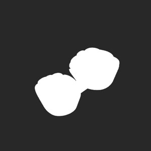 extracted_plate_no_light_5.png