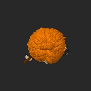 extracted_top_13.png