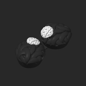 extracted_plate_12.png