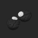 extracted_plate_12_small.png