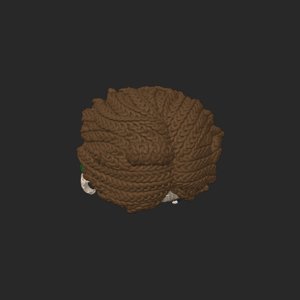 extracted_top_17.png