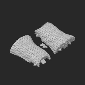 extracted_plate_6.png