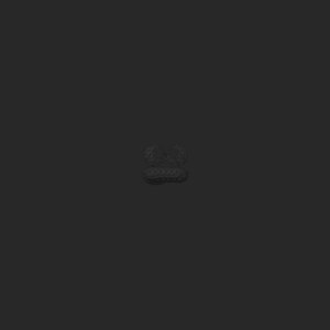 extracted_top_8.png