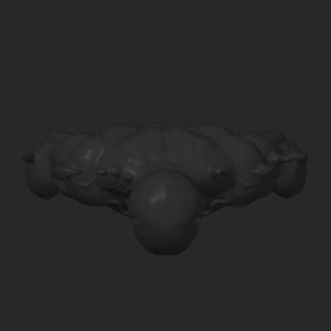 extracted_top_1.png