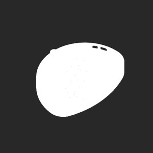 extracted_plate_no_light_1.png