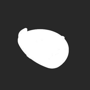 extracted_plate_no_light_2.png