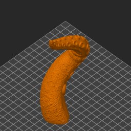 extracted_thumbnail_2.png