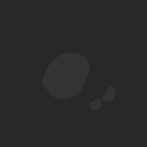 extracted_plate_no_light_2.png