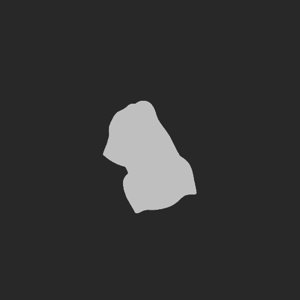 extracted_plate_no_light_5.png
