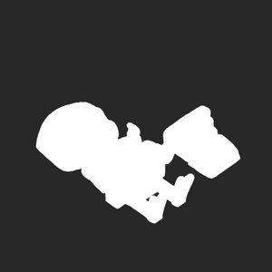 extracted_plate_no_light_5.png