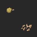 extracted_plate_7_small.png