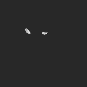 extracted_top_2.png