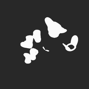 extracted_plate_no_light_5.png