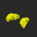 extracted_plate_4_small.png