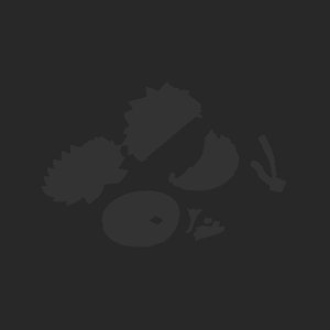 extracted_plate_no_light_4_1.png