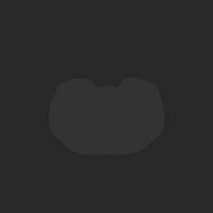extracted_plate_no_light_13.png