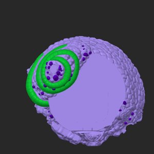extracted_top_1_4.png
