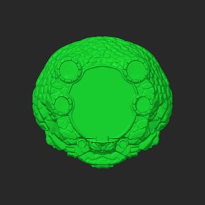 extracted_top_1_5.png