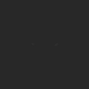 extracted_top_1.png