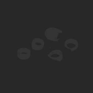 extracted_plate_no_light_2.png
