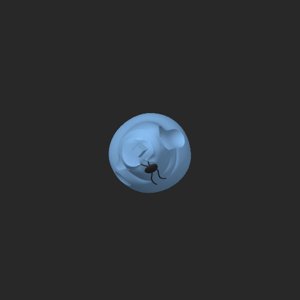 extracted_top_5.png