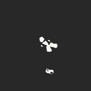 extracted_plate_no_light_5.png