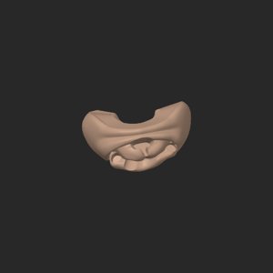 extracted_top_6_2.png