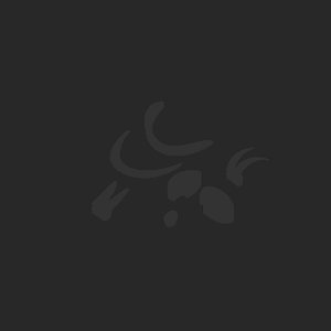 extracted_plate_no_light_7.png