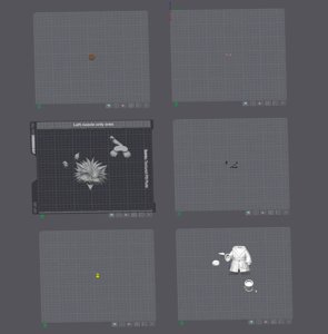 extracted_Plates.webp