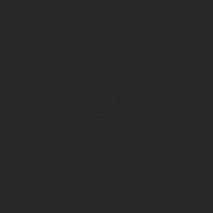 extracted_top_2.png