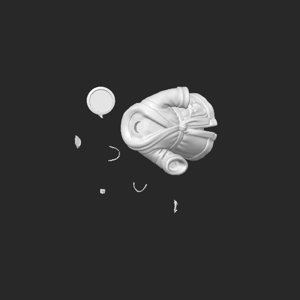 extracted_top_2_1.png
