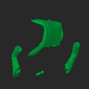 extracted_top_1_1.png