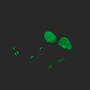 extracted_plate_1_small_2.png