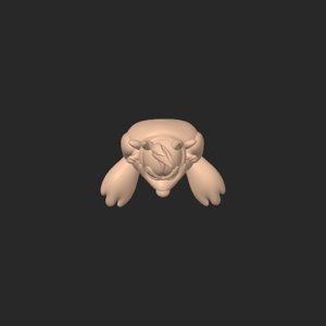 extracted_top_3_3.png