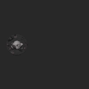 extracted_top_1.png