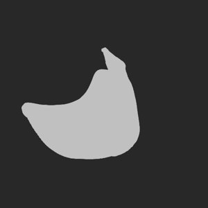 extracted_plate_no_light_1.png