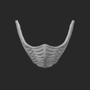 extracted_top_1.png