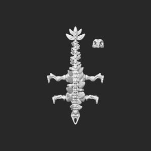 extracted_top_1.png